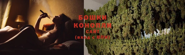 стафф Нефтегорск