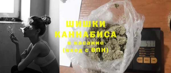 сатива Нефтекумск
