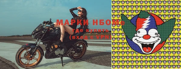 стафф Нефтегорск