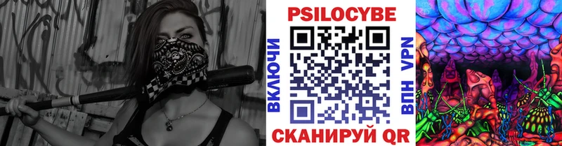 Купить  Ликино-Дулёво  Галлюциногенные грибы Cubensis 